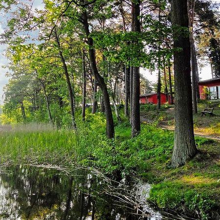 Ferienpark Am Glubigsee Wendisch Rietz Ngoại thất bức ảnh