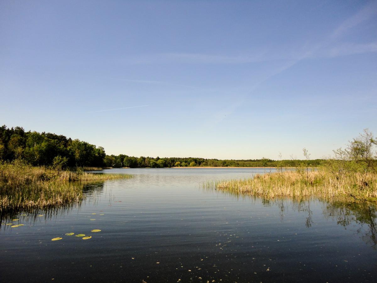 Ferienpark Am Glubigsee Wendisch Rietz Ngoại thất bức ảnh